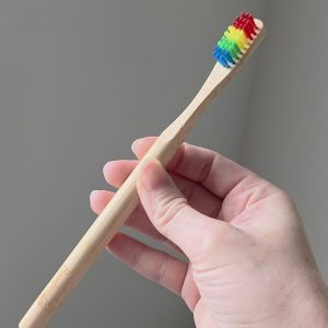 Bamboo Switch | Rainbow Bamboo Toothbrush