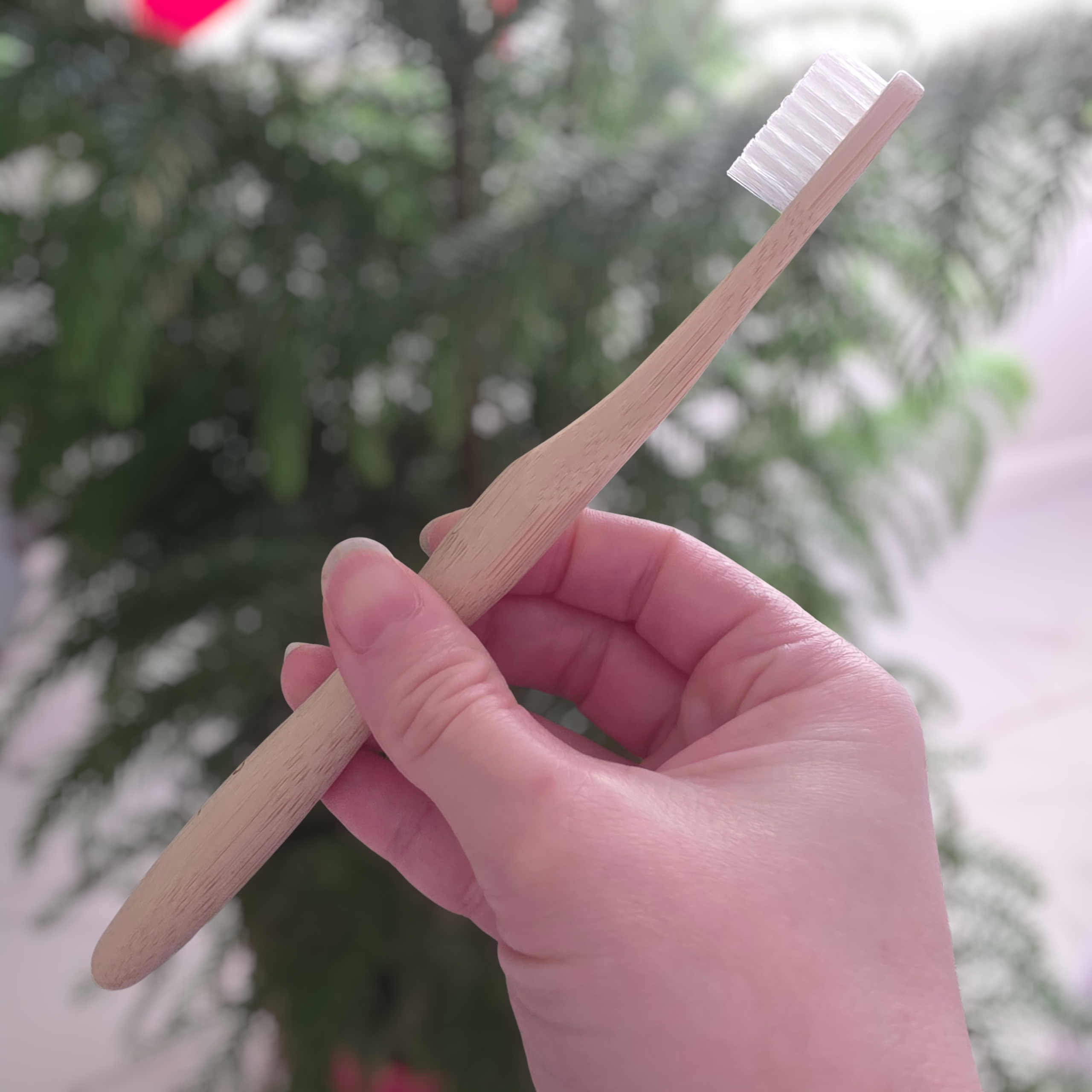 Bamboo Switch | Bamboo Toothbrush | Compostable Bristle - Image 2